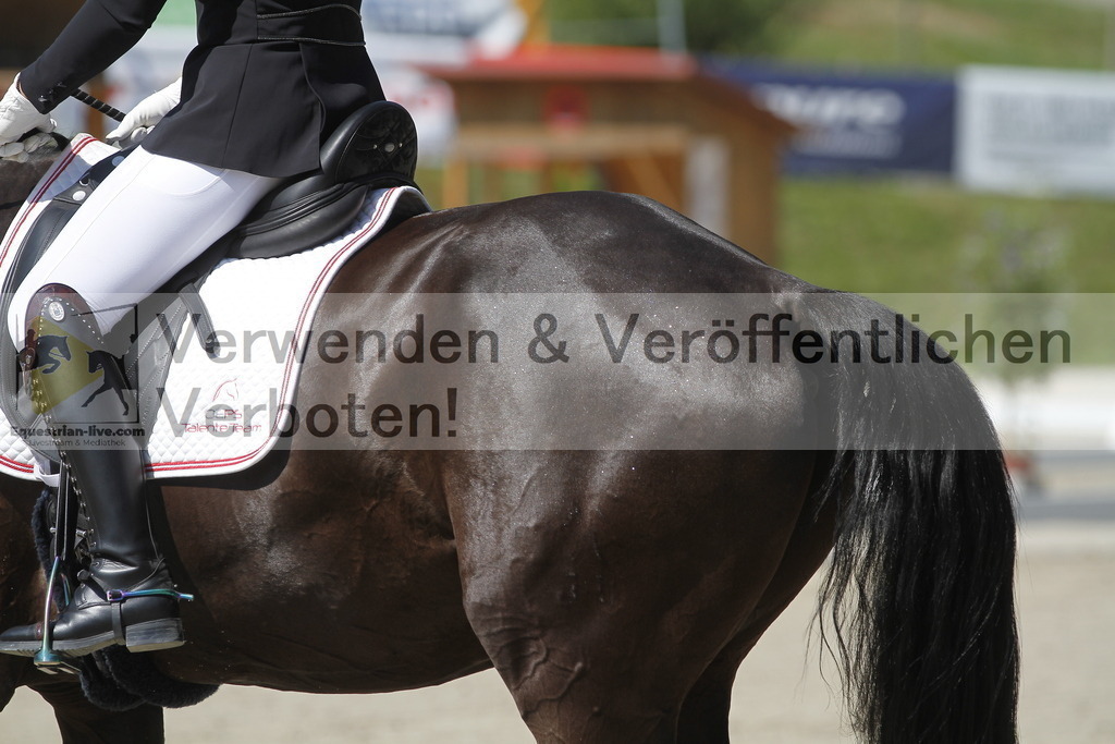 _MG_0339 | equestrian-live-com