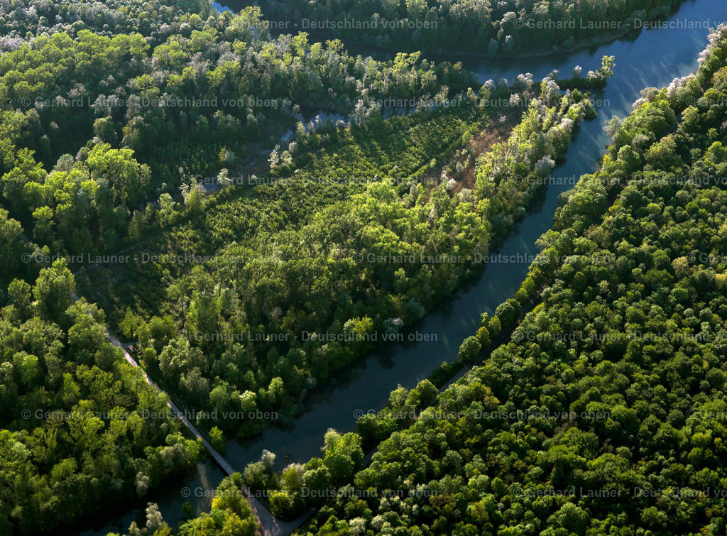 3096087 | Rheinauen Weisweil