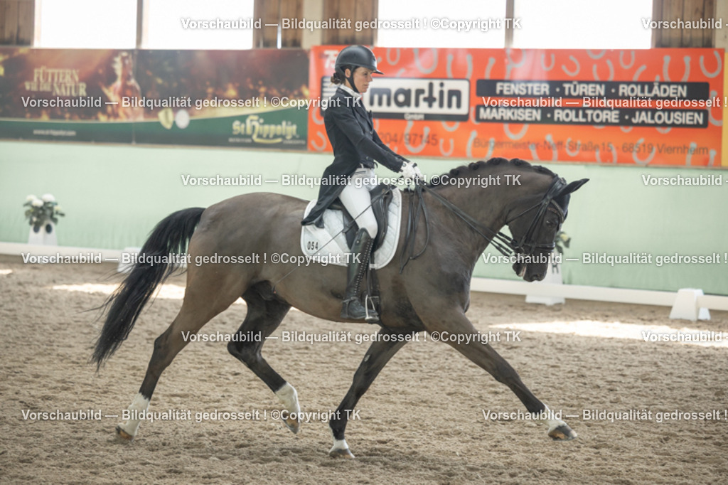 _D5A2153 | Emotionale Pferde- & People-Fotografie rund um Heidelberg, Leimen & Umgebung. Natürliche Fotos von Pferd, Mensch & Familie. Jetzt Termin sichern!