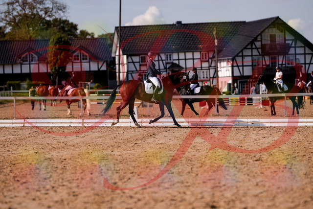 2026_10_03_Siefer-Hof_125814_Z81_47916932 | Professionelle Reitsport-, Turnier- und Eventfotografie von Robert Broda. Galerien mit ausgewählten und bearbeiteten Bildern direkt online ansehen und bestellen.
