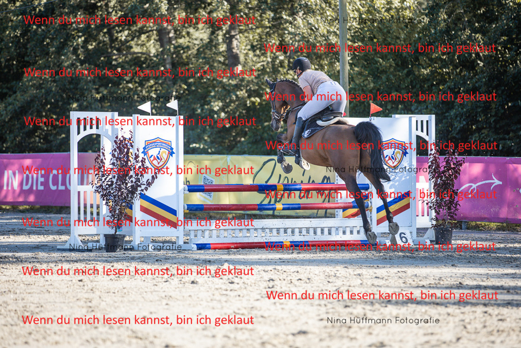 BK1A7788 | Turnierbilder Turnierfotos Nina Hüffmann Turnierfotografie Pferdefotografie Tierzeichnung Haustierzeichnung Pferdezeichnung Hundezeichnung Videograf  - Realisiert mit Pictrs.com