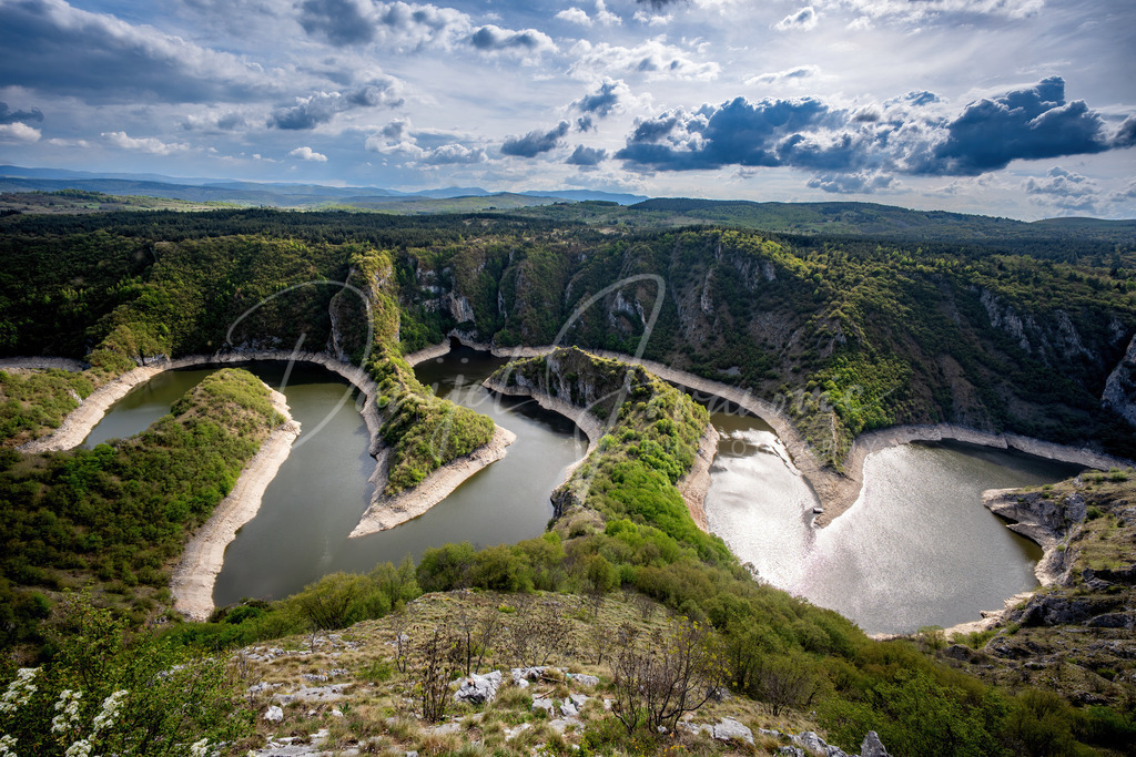Uvac | Meader des Uvac Flusses
