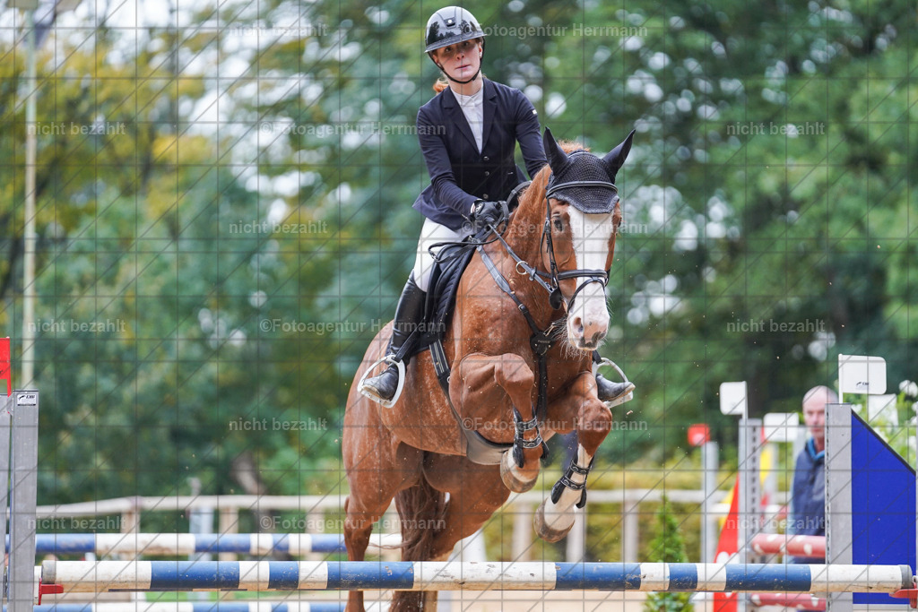 20221009-FAH08978 | Diessen am Ammersee, 2022, Dressur- und Springturnier, Reitsportbilder, Turnierfotografen Bayern, Pferdefotografen, Fotoagentur Herrmann, Turnierbilder