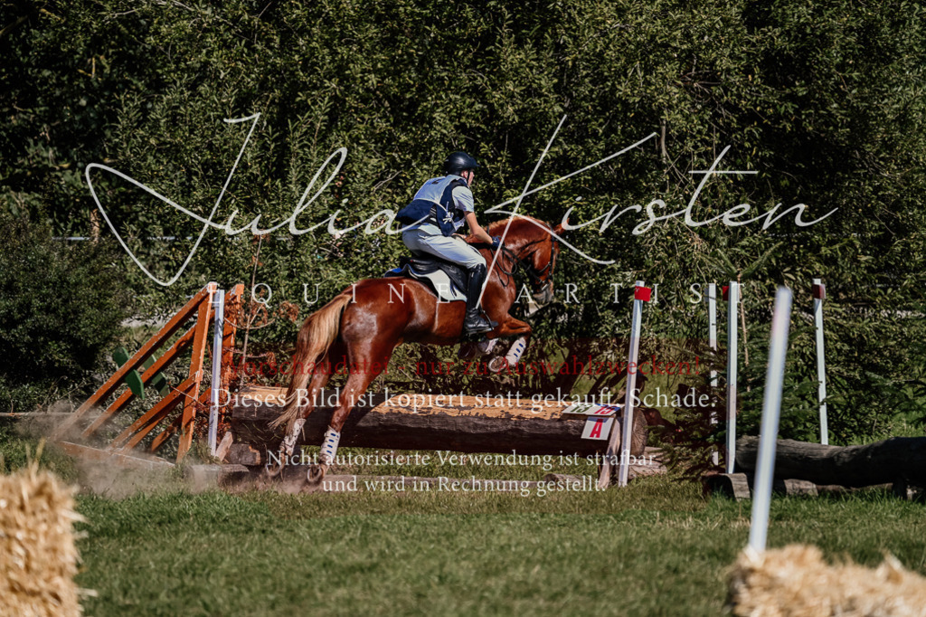 DSC_1353 | Pferde- und Turnierfotografie in Westsachsen. Pferdeportraits, Auftragszeichnungen und intuitive Kunst.