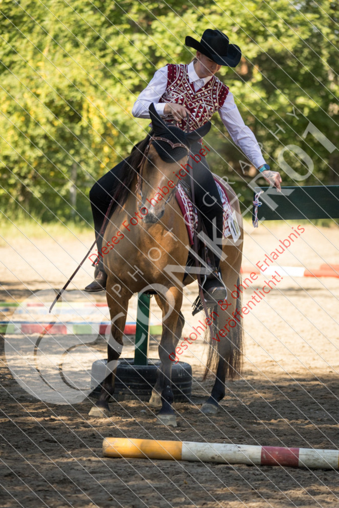 IMG_7379 | Sport-, Event- und Tierfotos in Profiqualität. Einfach auswählen, bestellen und herunterladen. Dein Moment – perfekt festgehalten.