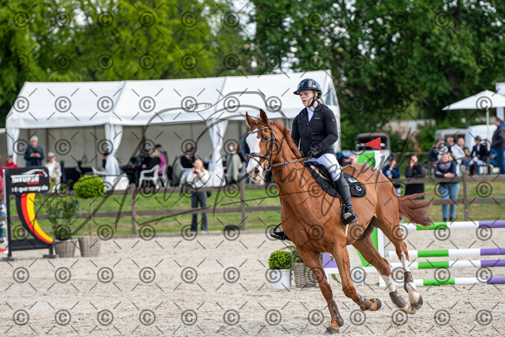 KPT_5055 | andre_photographic