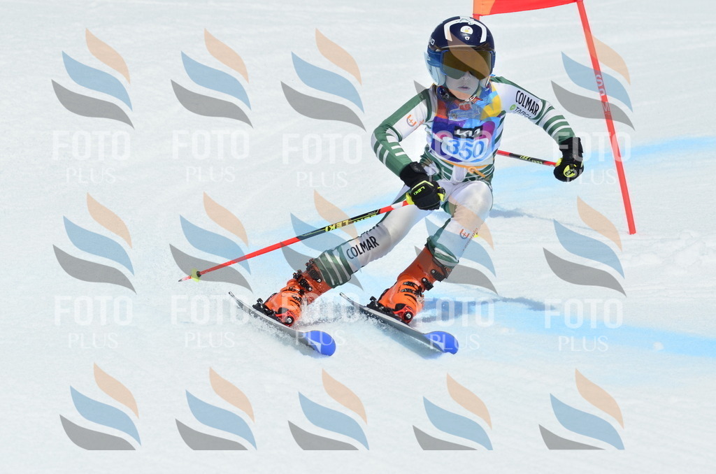 _ELE2675 | holidayphoto