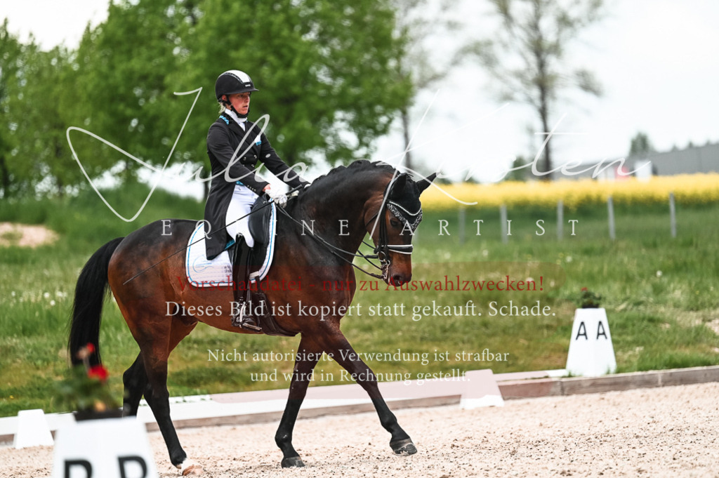 20230514_JK-Röhrsdorf-21-245 | Pferde- und Turnierfotografie in Westsachsen. Pferdeportraits, Auftragszeichnungen und intuitive Kunst.