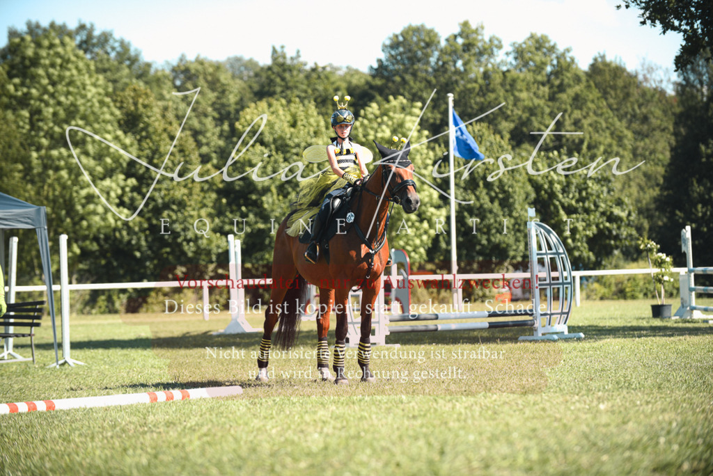 DSC_7478 | Pferde- und Turnierfotografie in Westsachsen. Pferdeportraits, Auftragszeichnungen und intuitive Kunst.