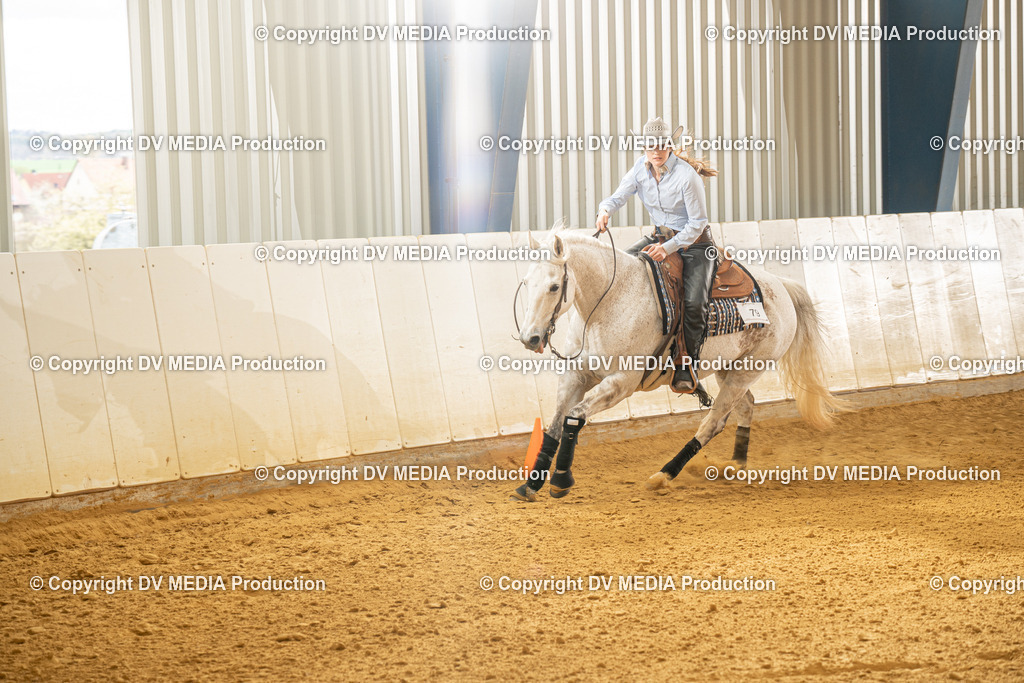 MIT01345 | dv-media-shop - Realisiert mit Pictrs.com