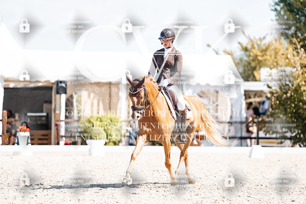 CK903679 | Turnierfotografie Pferdefotografie Trier Rheinland-Pfalz Pferdesport Reitsport Tierfotografie Sportfotografie Pferdevideo Pferdevideografie Equestrianvideography equestrianphotography  - Realisiert mit Pictrs.com