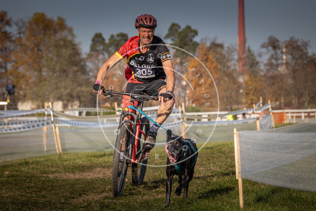 CaniXpix_0L8A7119 | Hundefotografie, Tierfotograf, Pfotenfotografie, Fotoshooting Hund, Hunde Portrait, Hundesport, Hundeportraits, Heideshooting, Hunde, Sportfotograf, Hundefotograf, Turnierhundsport, THS,  - Realisiert mit Pictrs.com