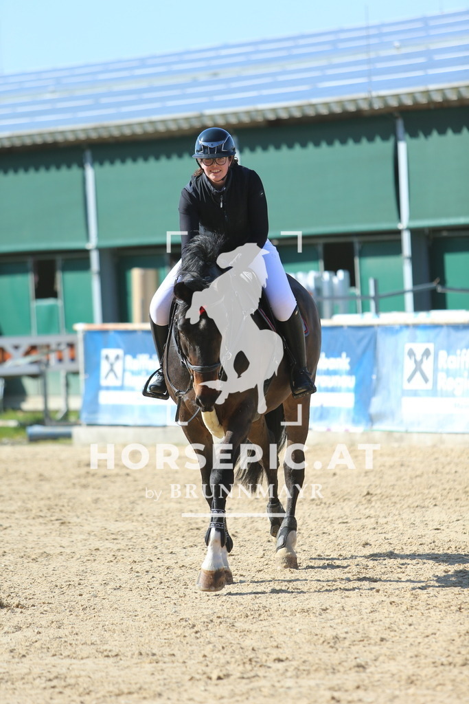 DL2Q1094 | Willkommen bei Brunnmayr - Design & Fotografie – Ihrem Spezialisten für Reitturniere und Pferdeveranstaltungen in Oberösterreich, Salzburg und Bayern! Seit über 17 Jahren sind wir leidenschaftlich dabei.