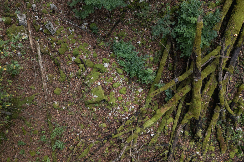 ZD250916101033-3 | default