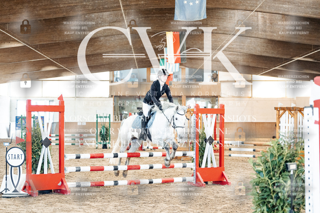 CK904047 | Turnierfotografie Pferdefotografie Trier Rheinland-Pfalz Pferdesport Reitsport Tierfotografie Sportfotografie Pferdevideo Pferdevideografie Equestrianvideography equestrianphotography  - Realized with Pictrs.com