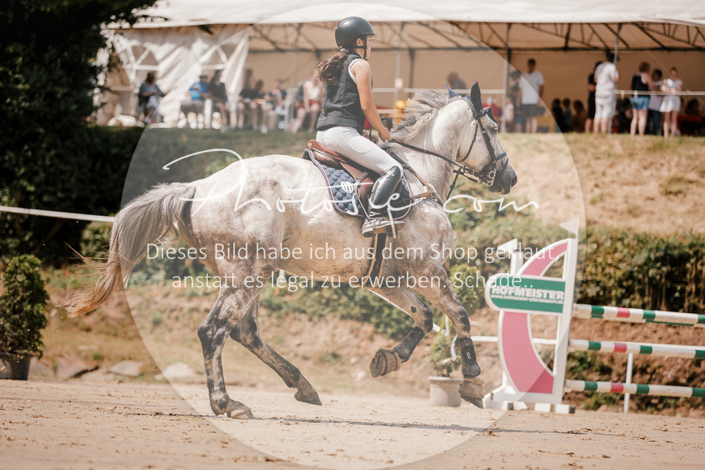 3I6A7853 | Stimmungsvolle Portraits und Reitsportfotografie im Ruhrgebiet und im Münsterland.

Pferdefotografie, Hundefotografie, Tierfotografie, Reportagen, Portraits von Tier und Mensch, Turnierfotografie in Bochum, Recklinghausen, Marl, Haltern am See, Dülmen.. - Realisiert mit Pictrs.com