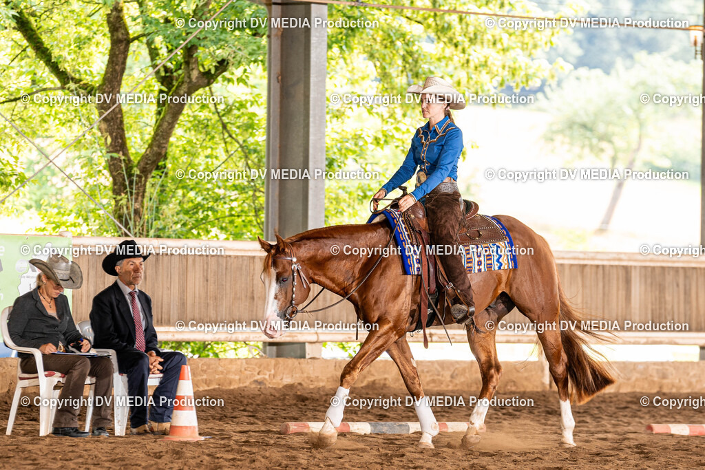 Erbach Tag 1-249 | dv-media-shop - Realisiert mit Pictrs.com