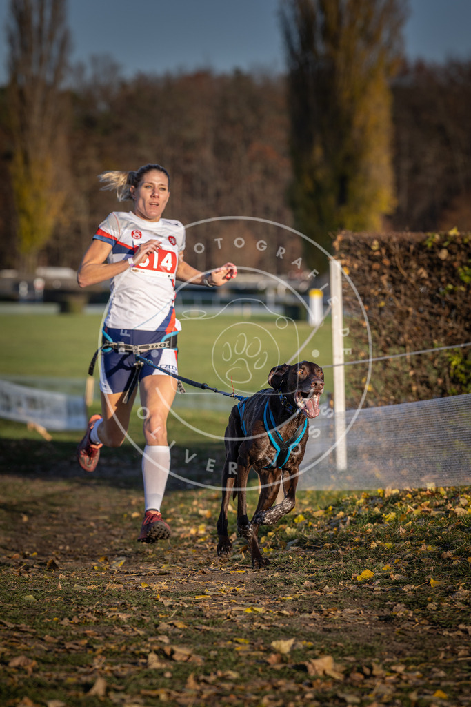 CaniXpix_DV3A3104 | Hundefotografie, Tierfotograf, Pfotenfotografie, Fotoshooting Hund, Hunde Portrait, Hundesport, Hundeportraits, Heideshooting, Hunde, Sportfotograf, Hundefotograf, Turnierhundsport, THS,  - Realisiert mit Pictrs.com