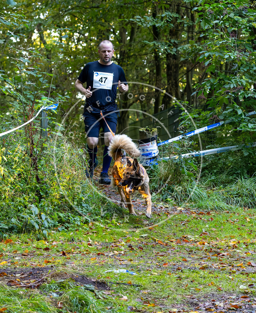 Pfotenfotografie_DV3A6945 | Hundefotografie, Tierfotograf, Pfotenfotografie, Fotoshooting Hund, Hunde Portrait, Hundesport, Hundeportraits, Heideshooting, Hunde, Sportfotograf, Hundefotograf, Turnierhundsport, THS,  - Realisiert mit Pictrs.com