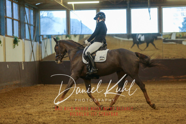 IMG_7111 | Turniersportfotografie; Pferdefotografie; Dressurfotografie
