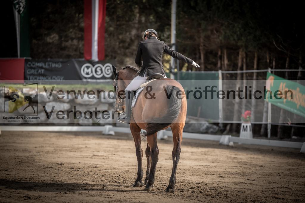 DSC_8595 | equestrian-live-com