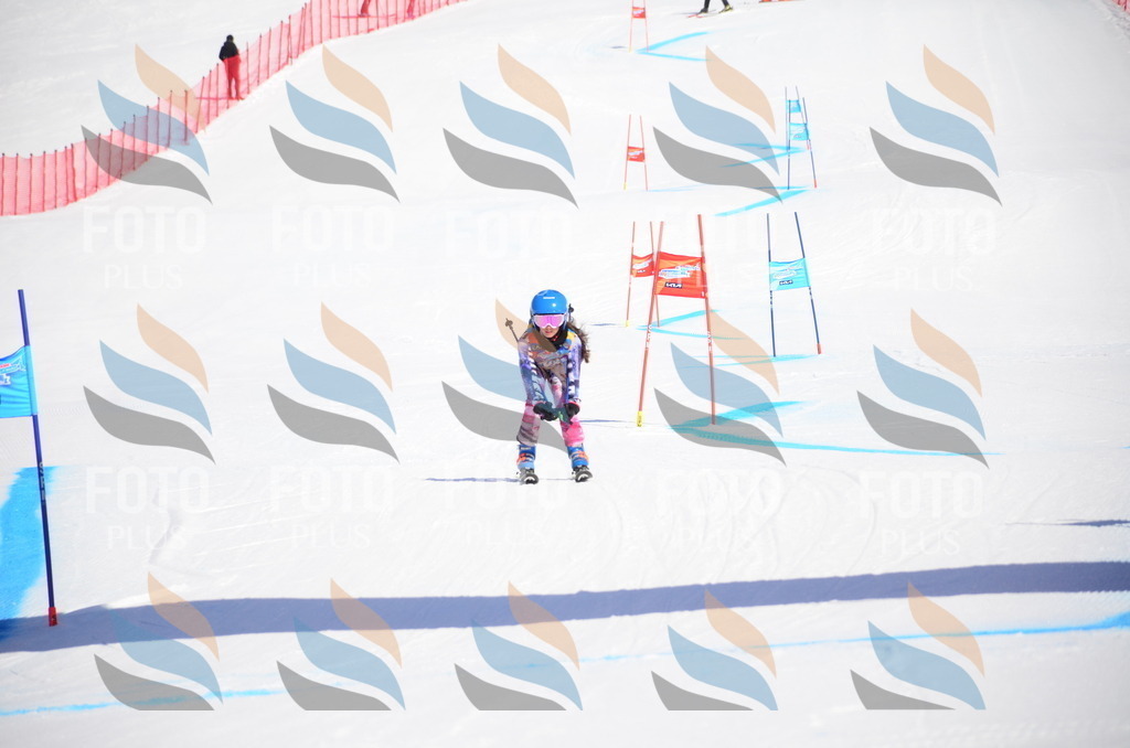 VR4_9539 | holidayphoto