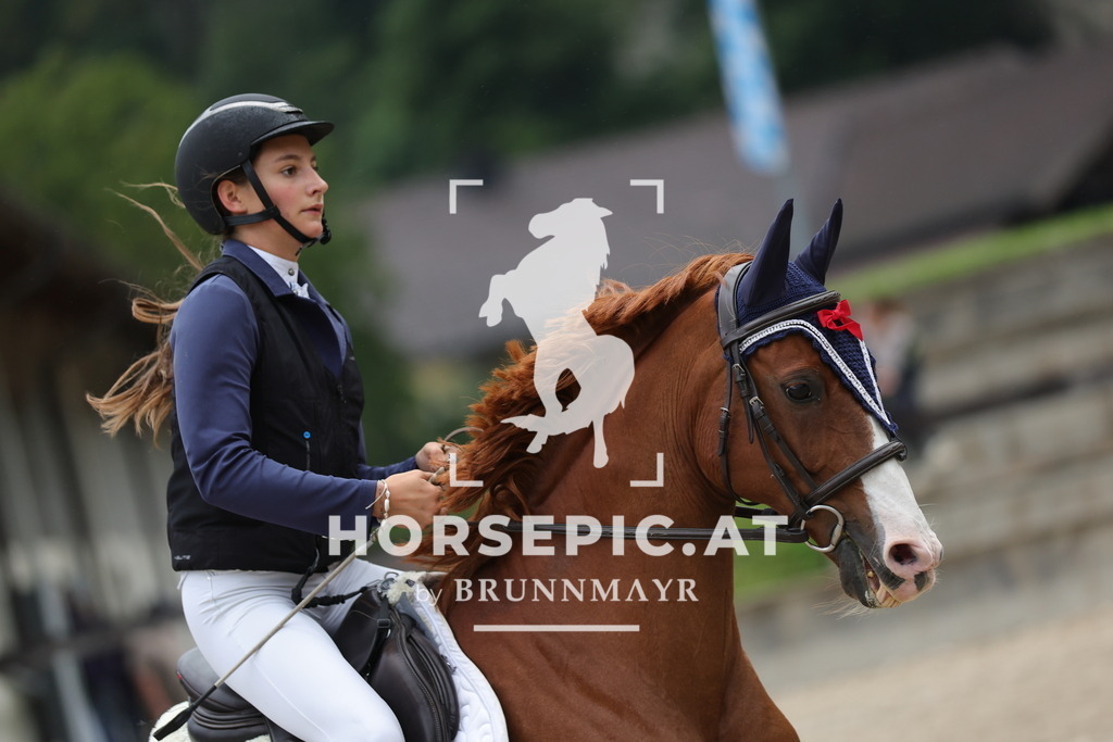 0P6A0137 | Willkommen bei Brunnmayr - Design & Fotografie – Ihrem Spezialisten für Reitturniere und Pferdeveranstaltungen in Oberösterreich, Salzburg und Bayern! Seit über 17 Jahren sind wir leidenschaftlich dabei.