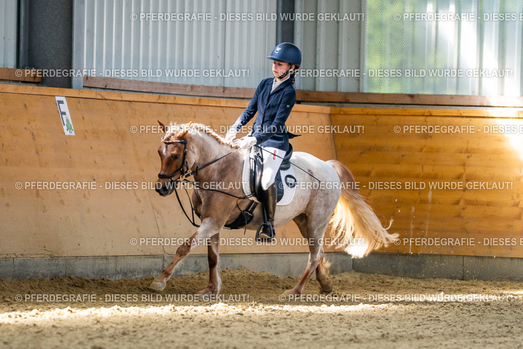 DSC02577 | Pferdegrafie