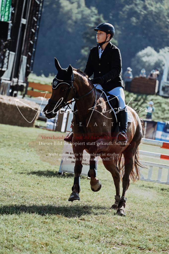 DSC_5453 | Pferde- und Turnierfotografie in Westsachsen. Pferdeportraits, Auftragszeichnungen und intuitive Kunst.