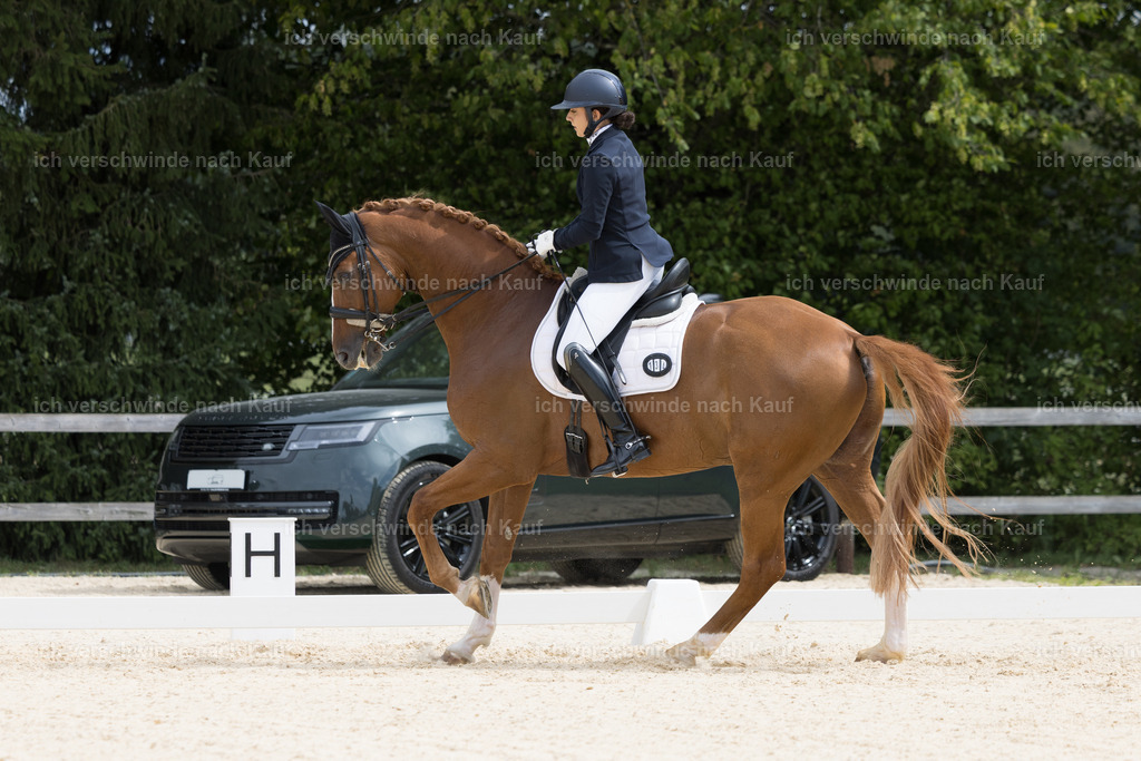FHC2026_P02_134_13959 | Fichtenhof Classics 2026 – Dressurturnier, Reitanlage Fichtenhof, Schäftlarn
