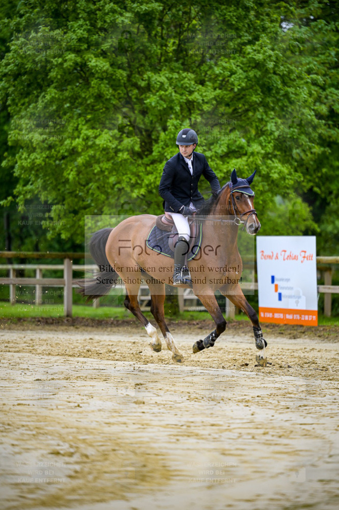 Reitturnier Lienen | Entdecke hochwertige Reitturnierfotos von Foto Oger. Professionell, emotional und authentisch – jetzt Lieblingsmomente im Shop bestellen. - Realisiert mit Pictrs.com