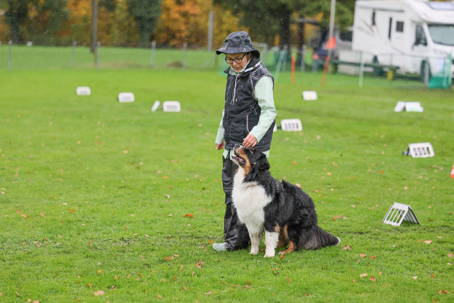2025_Rally_Obedience_SM-128 | Ich fotografiere Hundeausstellungen, Sportanlässe, Zuchtstätten, Hundezucht, Hundeportrait, Lagotto - Realisiert mit Pictrs.com