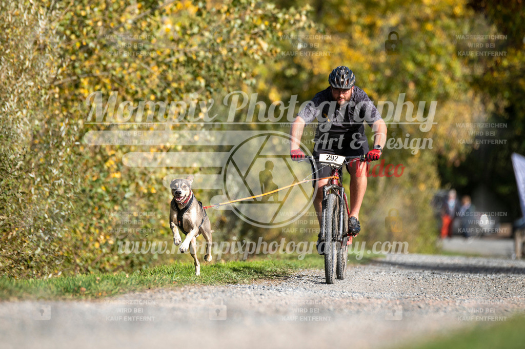 TSB_2023_E2_Bike-9 | PayLife