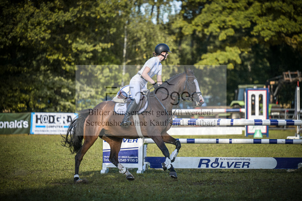 DOS_0557 | Entdecke hochwertige Reitturnierfotos von Foto Oger. Professionell, emotional und authentisch – jetzt Lieblingsmomente im Shop bestellen.Deutschlandweite Turnierfotografie. - Realisiert mit Pictrs.com