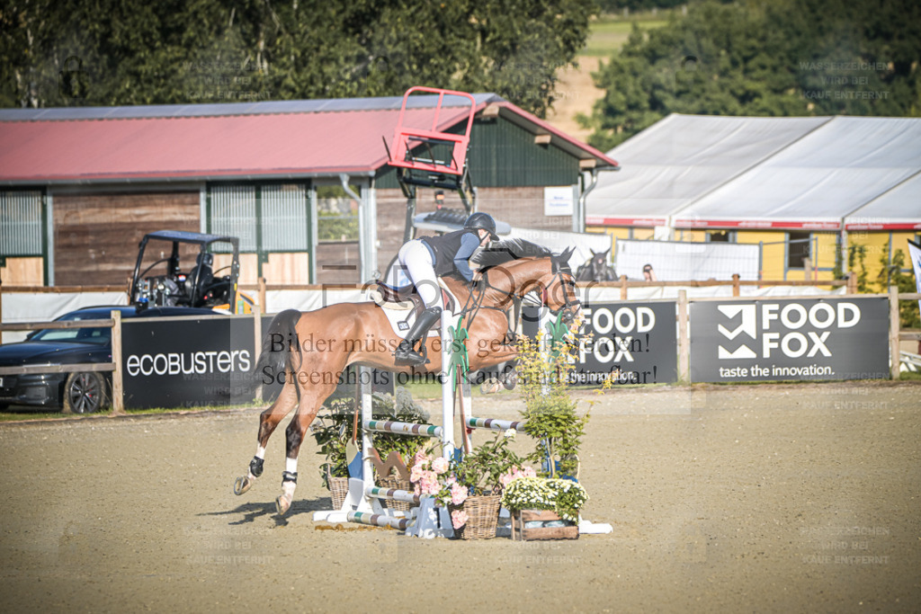 DOS_7254 | Entdecke hochwertige Reitturnierfotos von Foto Oger. Professionell, emotional und authentisch – jetzt Lieblingsmomente im Shop bestellen. - Realisiert mit Pictrs.com