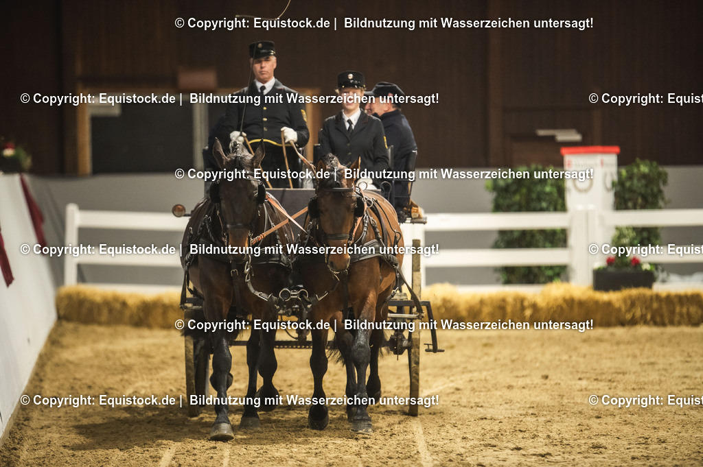 20240302_Hengstvorstellung_Marbach_TOMsPiC_0761-2 | equistock