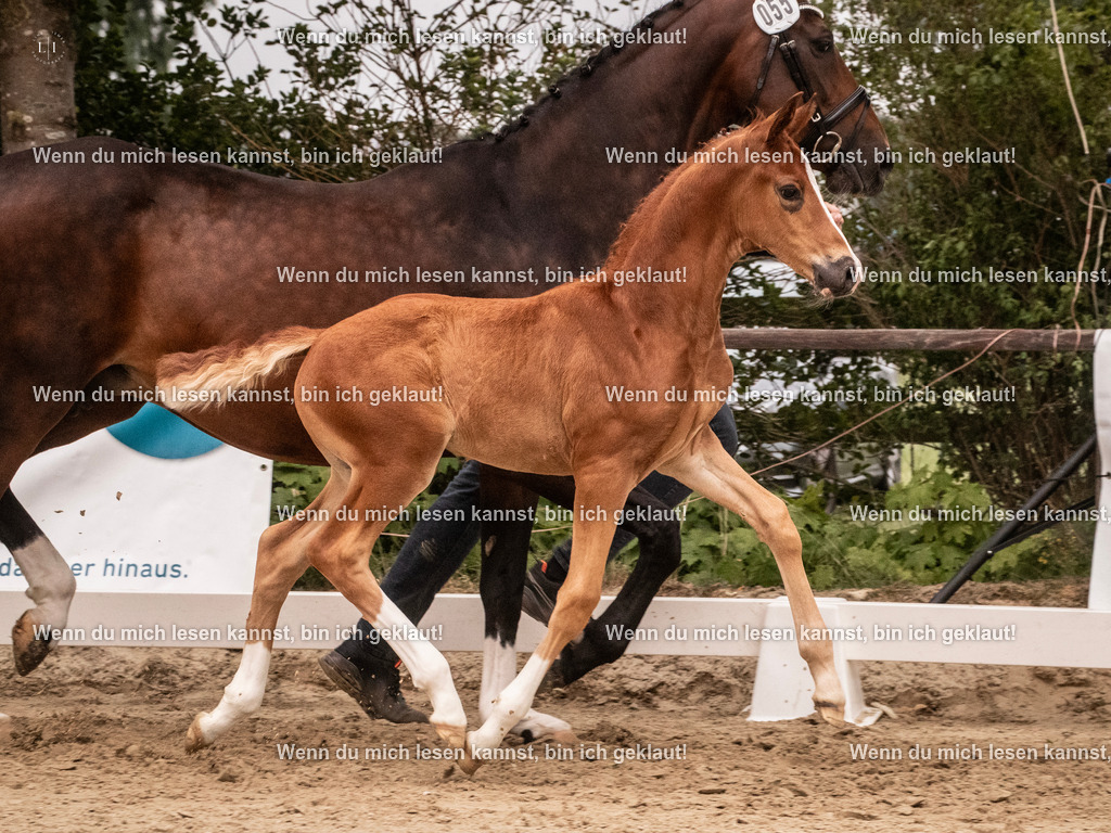 A10I5582 | photographylinaismer - Realisiert mit Pictrs.com