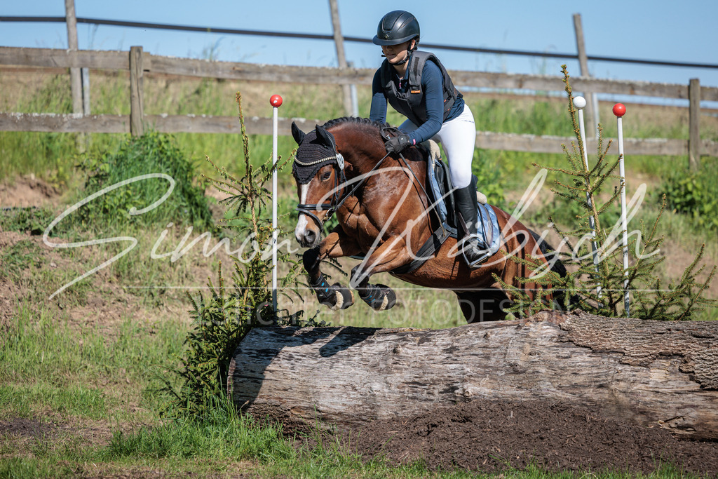 20260523-_3LI6776 | Tierfotografie Pferde, Hunde, Katzen, Haustiere.
Turnierfotografie Reitturniere, Reiten, Springreiten, Dressur in Hanau, dem Main-Kinzig-Kreis und dem Rhein-Main- Gebiet um Frankfurt