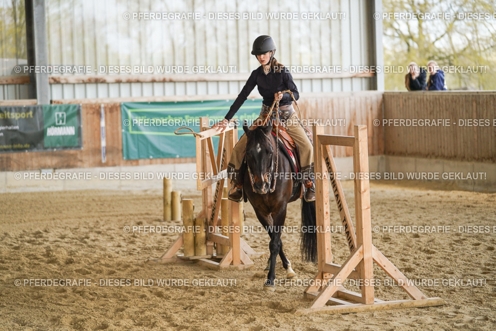 DSC06257 | Pferdegrafie