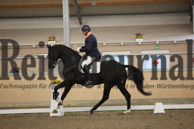 Waghäusel-Wiesental_2024_Prfg.Nr.08_1.WP_U25_Pieter van der Raadt_Bahiro (6) | Alle Fotos der Reiterjournal Fotografin Doris Matthaes im Reiterjournal Online-Fotoshop. - Realisiert mit Pictrs.com