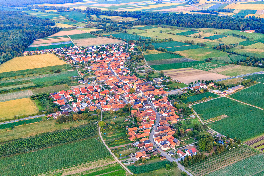 Luftbild: Ortsansicht von Westen in Erlenbach bei Kandel im Bundesland Rheinland-Pfalz in Deutschland. Foto: IMG_082857.jpg vom 25.06.2015 durch Werner Riehm/FLY-FOTO.de