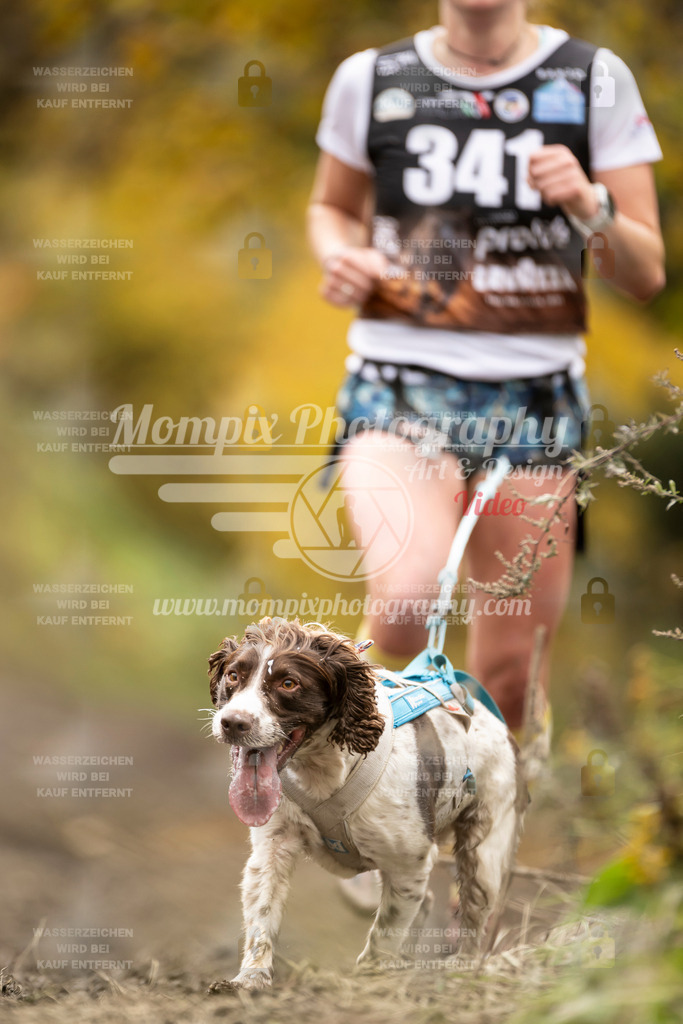 MompixPhotography_ICF_WC_2024_SA_Run_-246 | PayLife