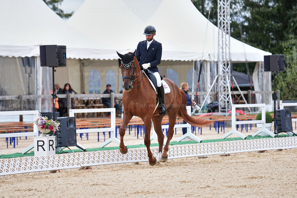 04_1-165-Dressur M__ -Marixx-2781 | working equitationturnier fotograf videograf stoibphotography marixx film working equitation deutschland reitsport turnierfotografie eventfotografie equestrian events
