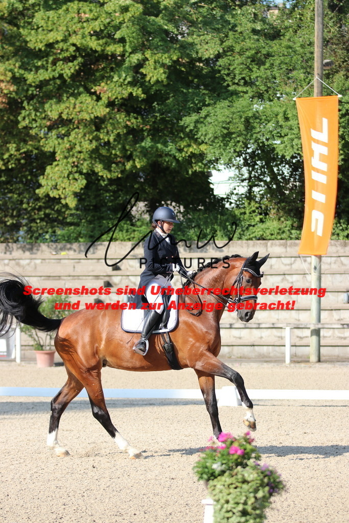 IMG_8882 | lmwpictures - Realisiert mit Pictrs.com