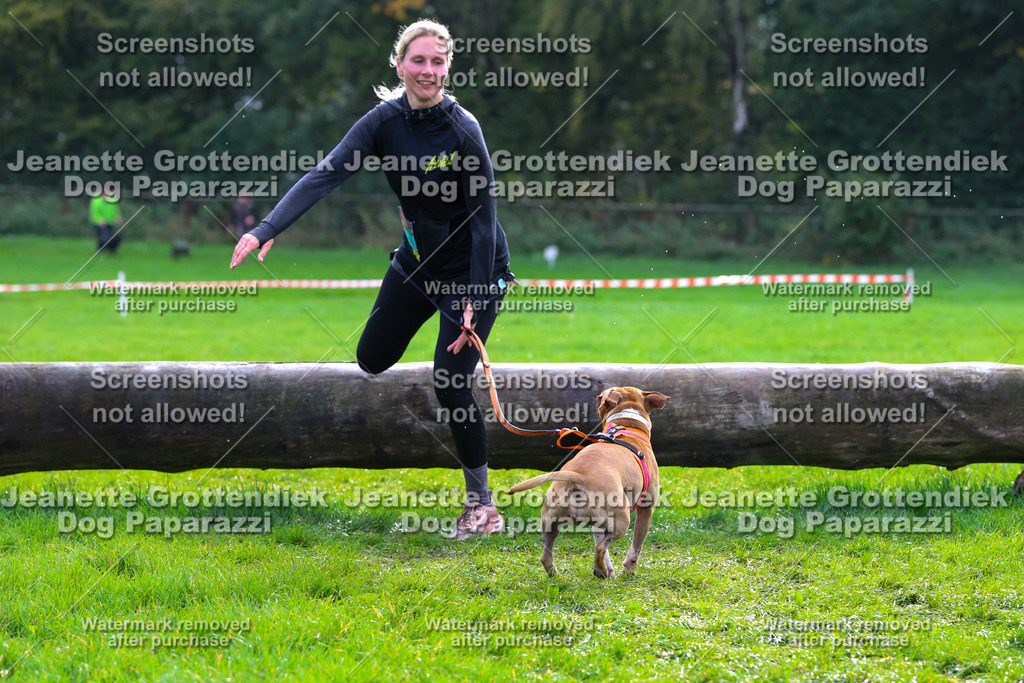 Dog Paparazzi -  SD1026-2180 | Dog Paparazzi Jeanette Grottendiek Fotografie & Videografie - Realisiert mit Pictrs.com