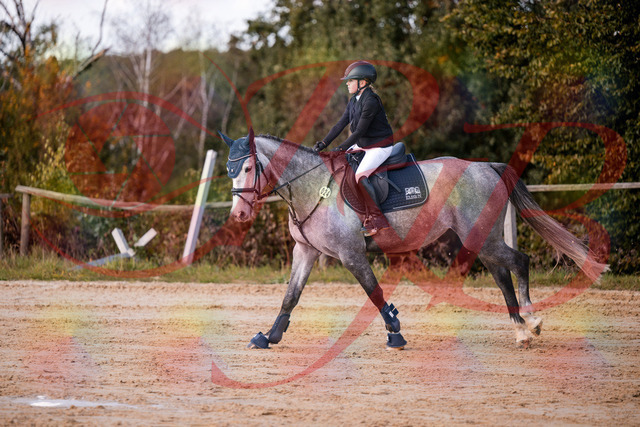 2026_10_03_Siefer-Hof_145126_Z81_30205097 | Professionelle Reitsport-, Turnier- und Eventfotografie von Robert Broda. Galerien mit ausgewählten und bearbeiteten Bildern direkt online ansehen und bestellen.