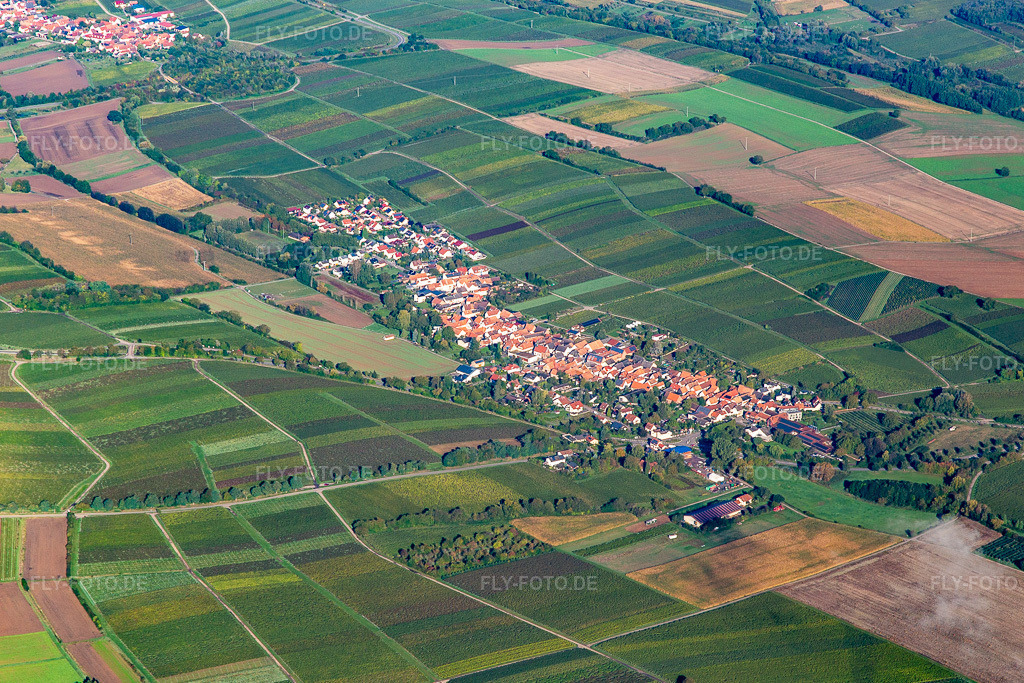 Luftbild: Ortschaft von Südosten in Niederhorbach im Bundesland Rheinland-Pfalz in Deutschland. Foto: IMG_143494.jpg vom 29.09.2024 durch Werner Riehm/FLY-FOTO.de