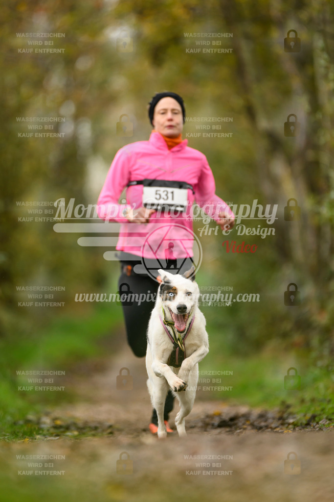 MompixPhotography_20TSB_E6_Run-213 | PayLife