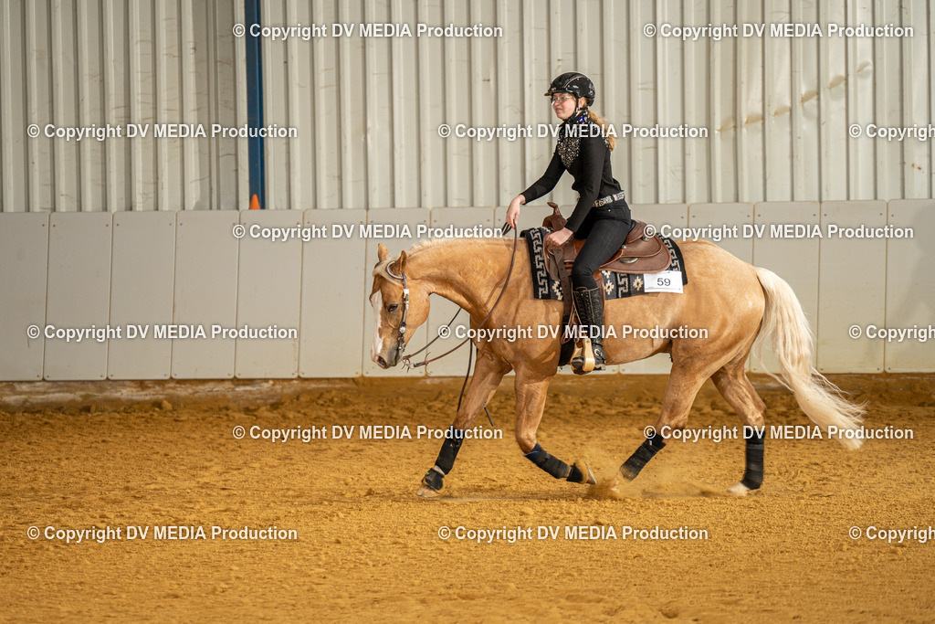 MIT00834 | dv-media-shop - Realisiert mit Pictrs.com