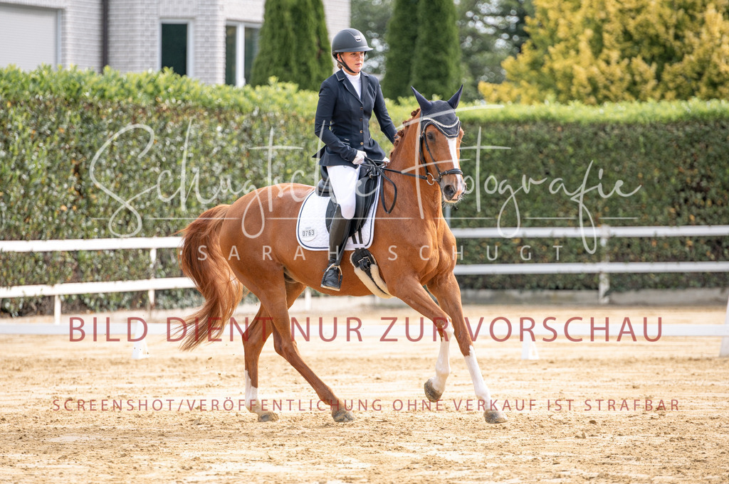 Schugtsche-Aluta25-40.DressurprfA_-212 | Schugtsche Fotografie - Realisiert mit Pictrs.com